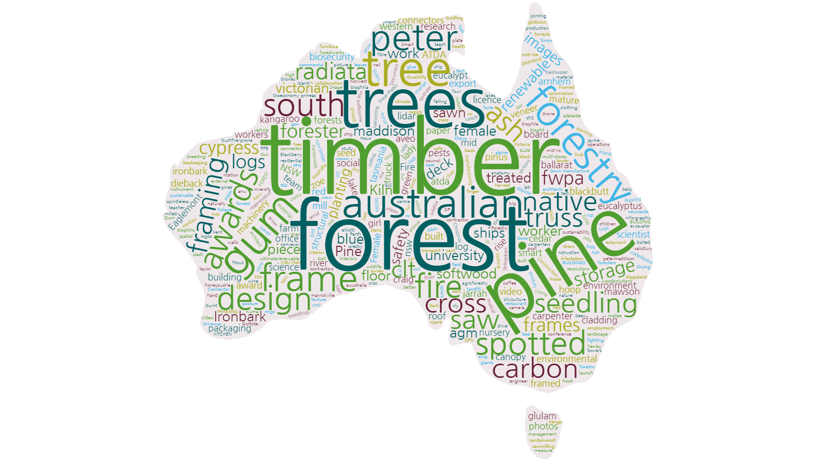 Picture this free forestry images at your fingertips Forest