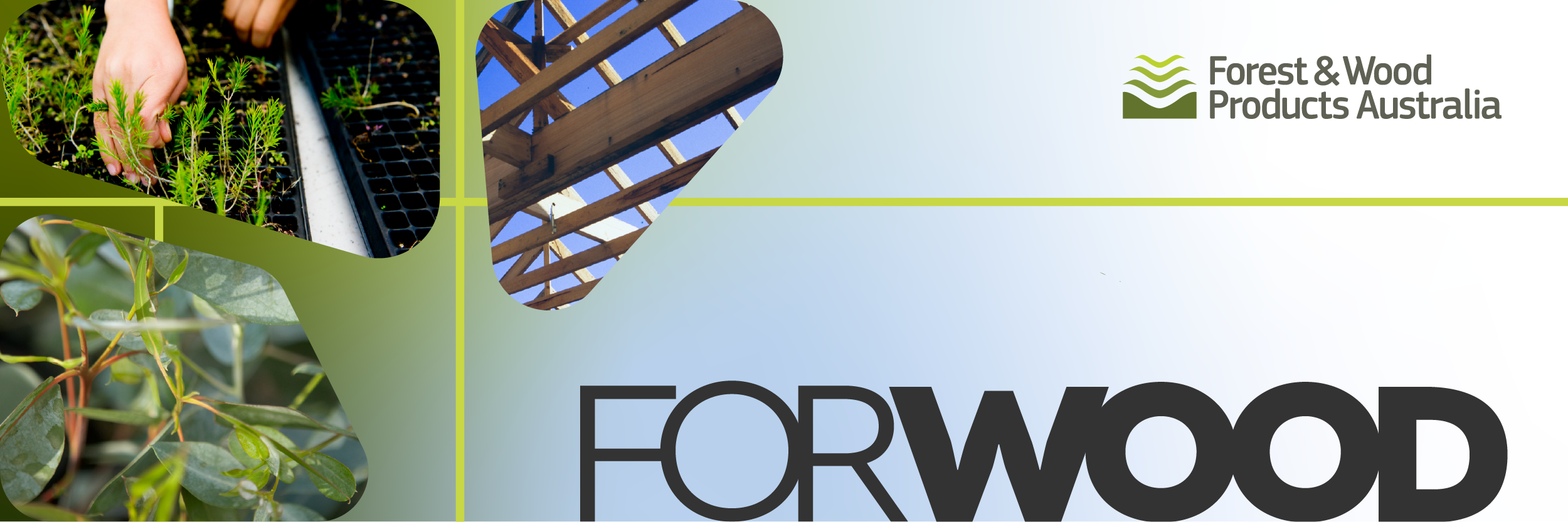 Newsletters Forest Wood Products Australia