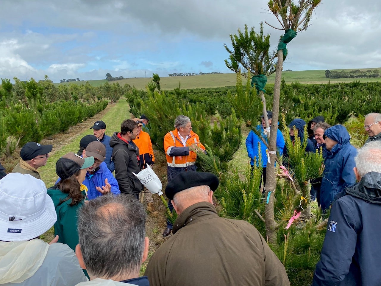Aussie industry says ‘bonjour’ to visiting French foresters in unique