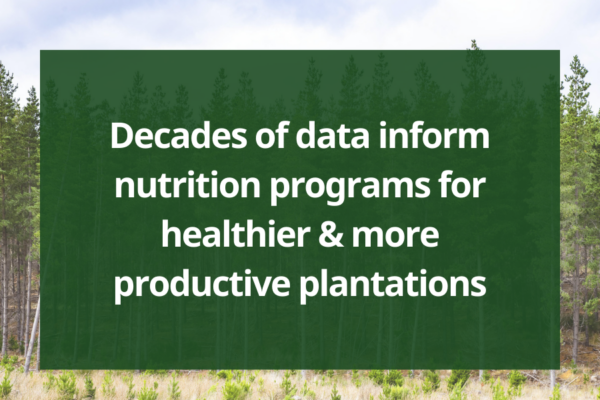 FWPA nutrition reports: Decades of data inform nutrition programs for healthier & more productive plantations