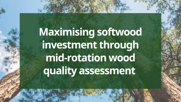 Maximising softwood investment through mid-rotation wood quality assessment