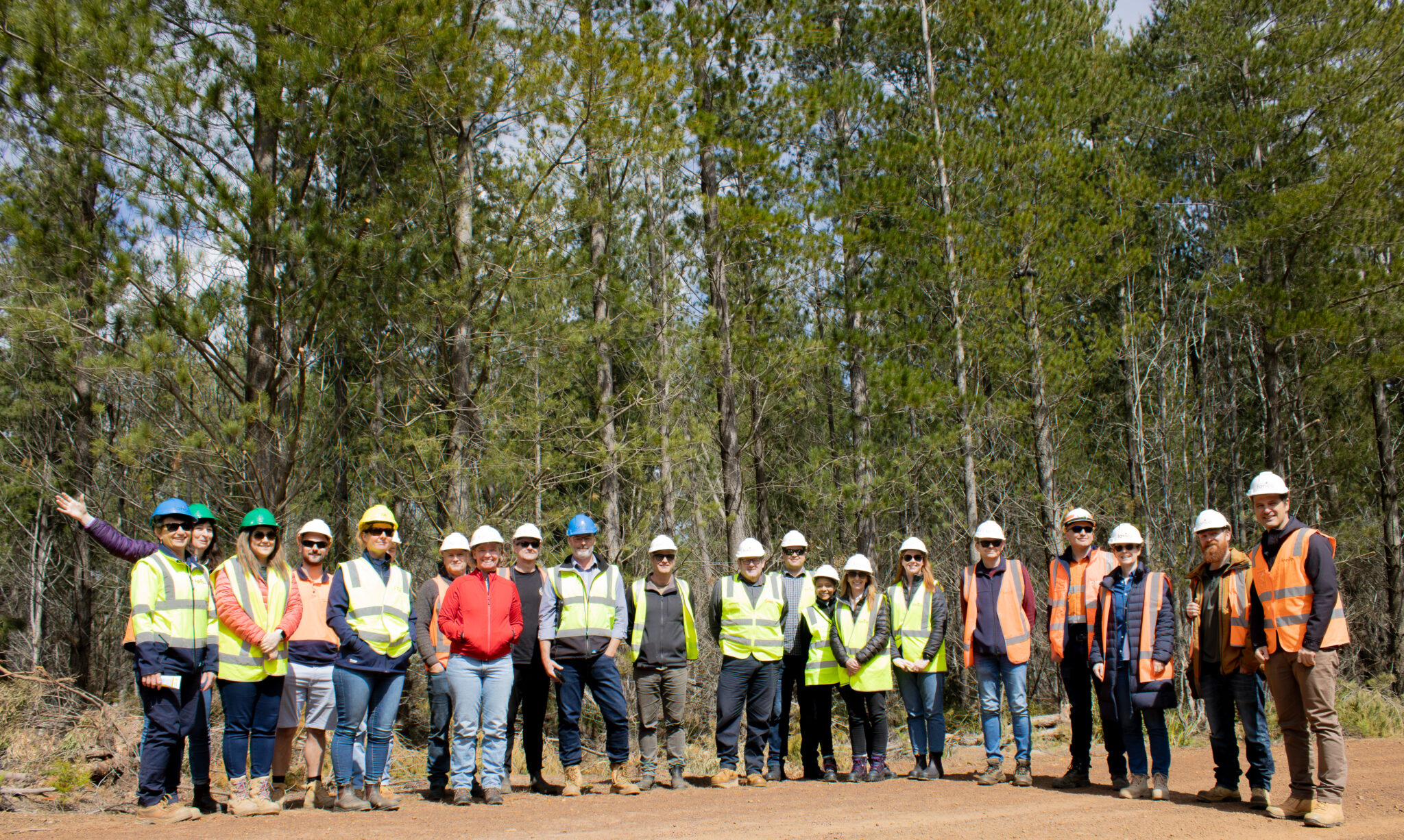 Strengthening Connections Between Tasmania S Forest Wood Products