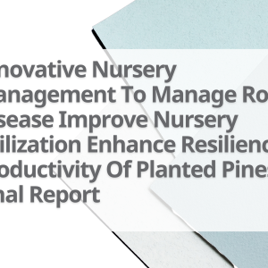 4-Innovative-Nursery-Management-To-Manage-Root-Disease-Improve-Nursery-Utilization-Enhance-Resilience-Productivity-Of-Planted-Pines-Final-Report