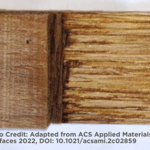 A_natural_glue_for_healthier_plywood