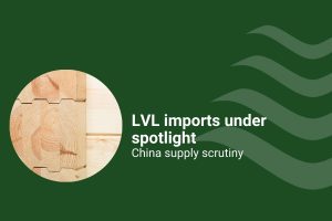 LVL imports under spotlight