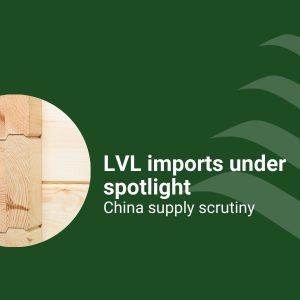 LVL imports under spotlight