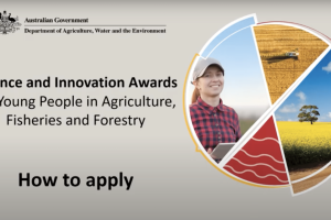 Calling_young_innovators_Grant_program_aims_to_future-proof_forestry
