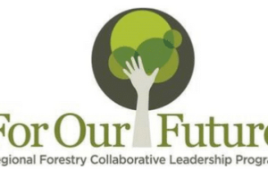 FOF-logo