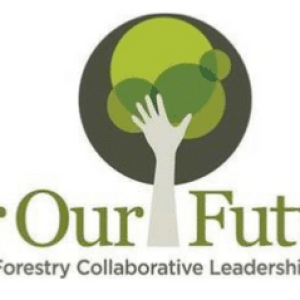 FOF-logo FOF-logo