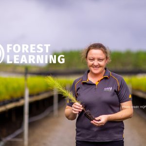 FWPA Website Featured Images (2)