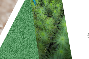 FWPA_NUWC_Homepage_banner