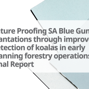 Future-Proofing-SA-Blue-Gum-Plantations-through-improved-detection-of-koalas-in-early-planning-forestry-operations-Final-Report
