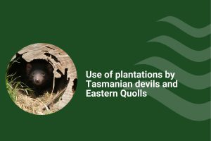 Use of plantations by Tasmanian Devils and Eastern Quolls