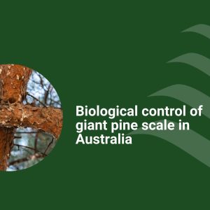 GDP Growth Projections (3)