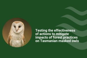 GDP Growth Projections (6)