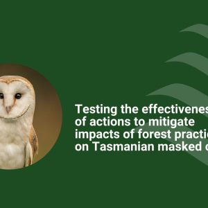 GDP Growth Projections (6)