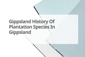 Gipps-History-Of-Plantation-Species-In-Gippsland