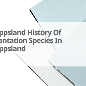 Gipps-History-Of-Plantation-Species-In-Gippsland
