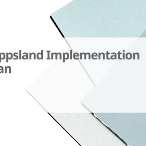 Gipps-Implementation-Plan