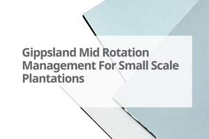 Gipps-Mid-Rotation-Management-For-Small-Scale-Plantations