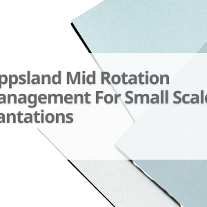 Gipps-Mid-Rotation-Management-For-Small-Scale-Plantations