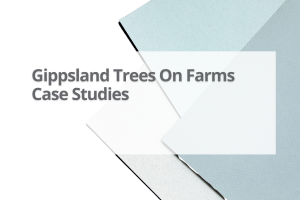 Gipps-Trees-On-Farms-Case-Studies