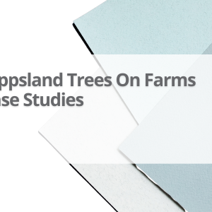 Gipps-Trees-On-Farms-Case-Studies