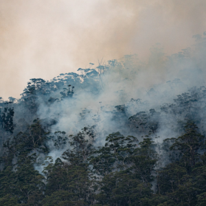 GroundbreakingResearchToManageBushfireRisk GroundbreakingResearchToManageBushfireRisk