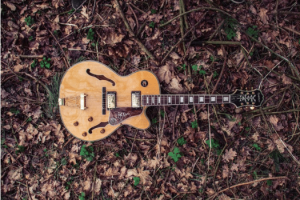 Guitar