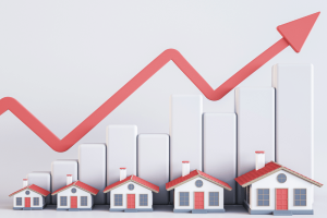 Housing input costs continue to climb – timber is not the problem