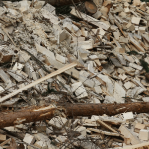 How_Small_Trees__Woody_Biomass How_Small_Trees__Woody_Biomass
