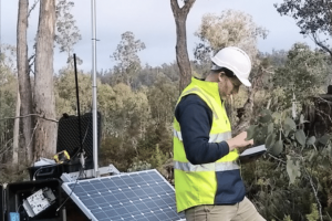 How_technology_is_making_our_forests_smarter