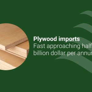 Imported wood products