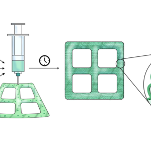 Laboratories-the-new-plantation_-Lab-grown-timber-Image-courtesy-of-the-researchers-via-MIT-News Laboratories-the-new-plantation_-Lab-grown-timber-Image-courtesy-of-the-researchers-via-MIT-News
