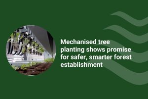 Mechanised Tree Plan Report