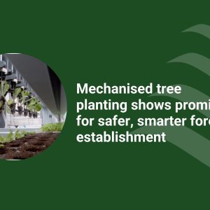 Mechanised Tree Plan Report