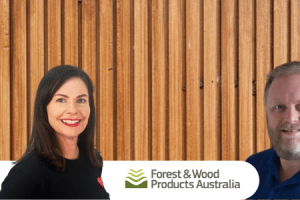 MicrosoftTeams-image