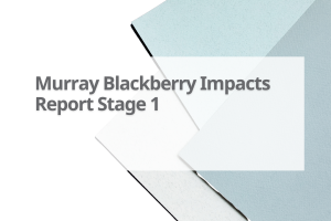 Murray-Blackberry-Impacts-Report-Stage-1