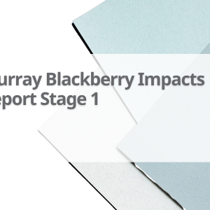 Murray-Blackberry-Impacts-Report-Stage-1