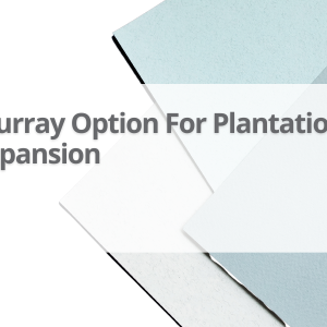 Murray-Option-For-Plantation-Expansion