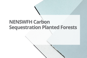 Ne-Nsw-Carbon-Sequestration-Planted-Forests