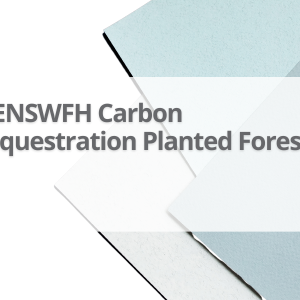 Ne-Nsw-Carbon-Sequestration-Planted-Forests