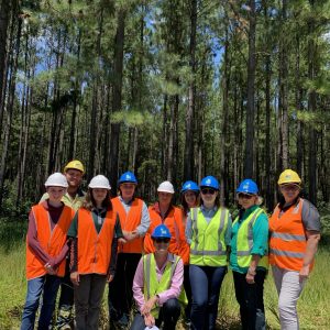 On-site_and_virtual_options_give_students_first-hand_insights_into_forestry-scaled On-site_and_virtual_options_give_students_first-hand_insights_into_forestry-scaled