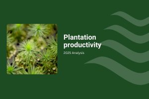 Plantation Productivity