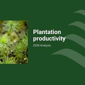 Plantation Productivity