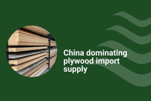 Plywood imports