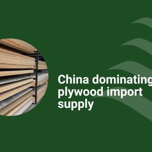 Plywood imports