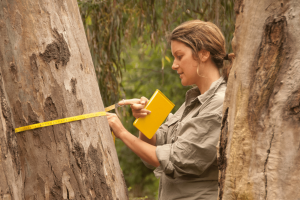 FWPA Forestry Research