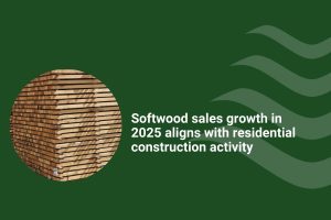 Softwood sales growth