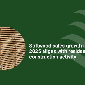 Softwood sales growth